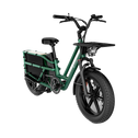 Fiido T2 Longtail Cargo E-bike