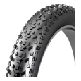 Rexway Fatbike Band (20x4 inch)